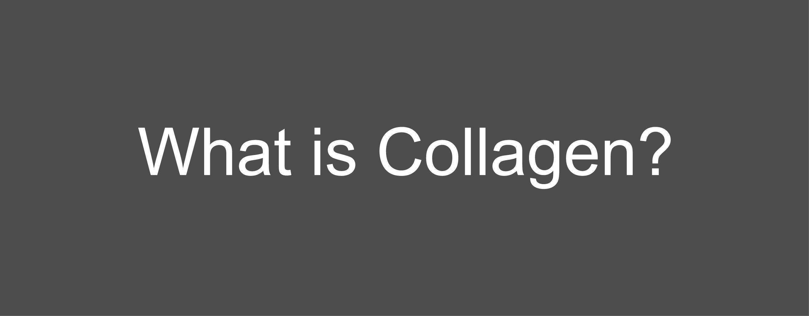 What is Collagen? - Muscle Nectar