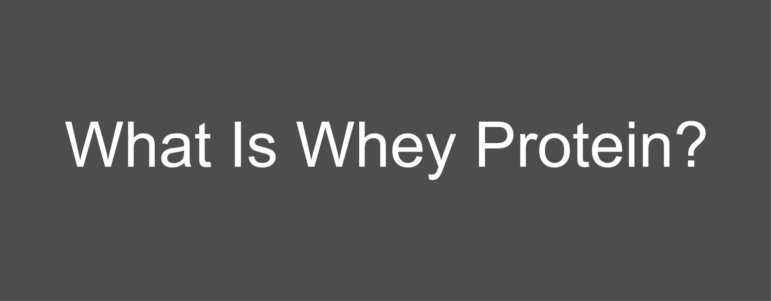 What Is Whey Protein? - Muscle Nectar